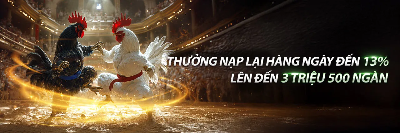 Hình ảnh nền tảng đá gà bj38 đáng tin cậy