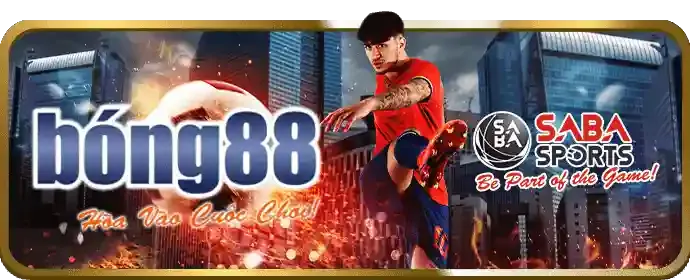 Tổng quan các môn thể thao cá cược tại BJ38 Đá Gà